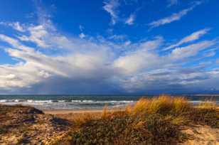 Moss Landing-1784.jpg Moss Landing-1784.jpg